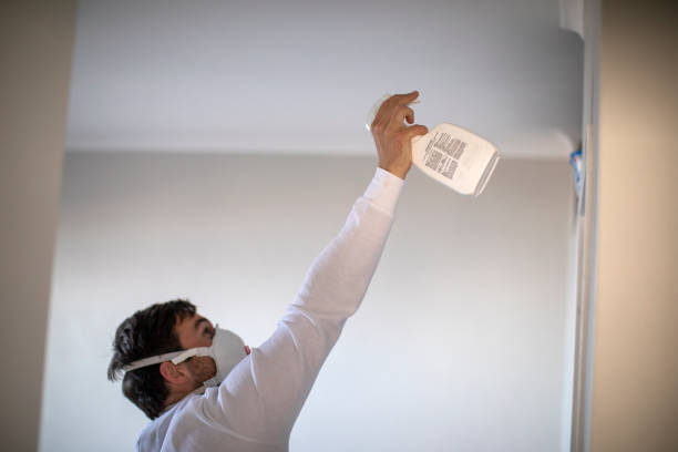 Best Mold Cleaning Services  in Lovington, NM